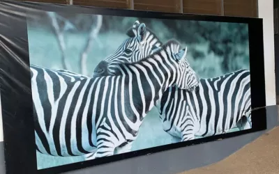 DATUS COLLEGE ON AN EXCURSION